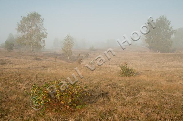 Rivierduinen in mist PVH3-27309