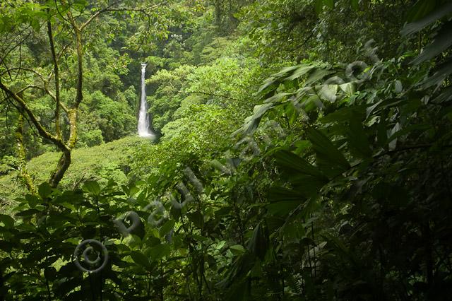 Waterval in tropisch regenwoud PVH70b-2623