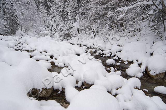 Bosbeek in winter PVH1b-8634