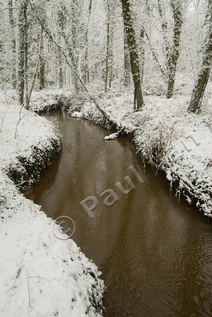 Bosbeek met sneeuw PVH2-8542