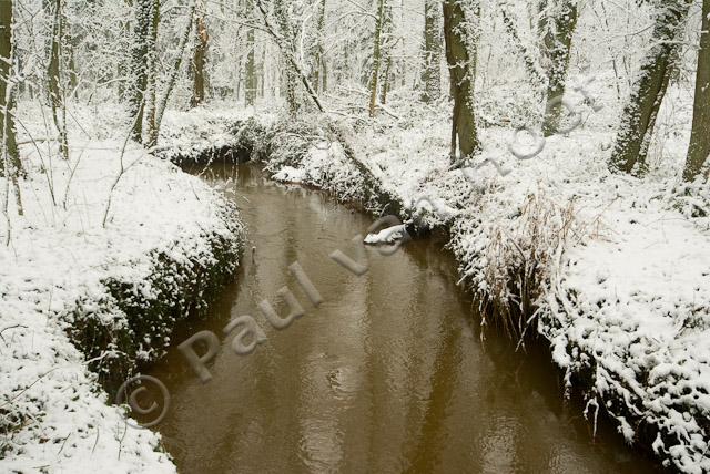 Bosbeek met sneeuw PVH2-8543