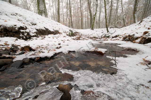 Bronbeekje in winter PVH3-16581