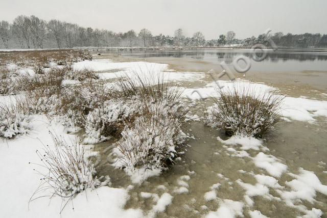Driessenven in winter PVH2-8565