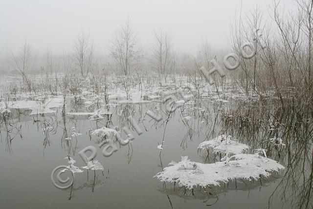 IJsvorming bij hoog water PVH2-8099