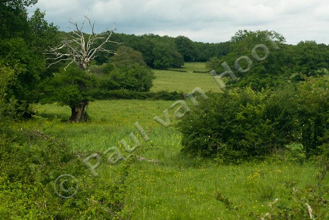 Kleinschalig landschap PVH2-1395