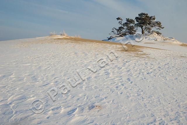 Kootwijkerzand in winter PVH70a-0368