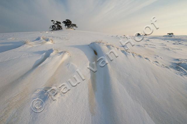 Kootwijkerzand in winter PVH70a-0388