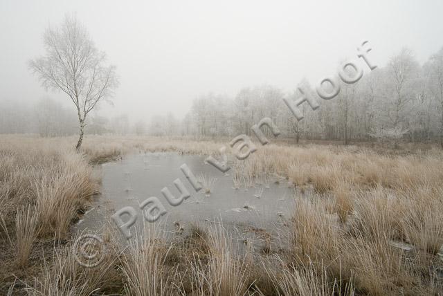 Peelven in winter PVH2-8041