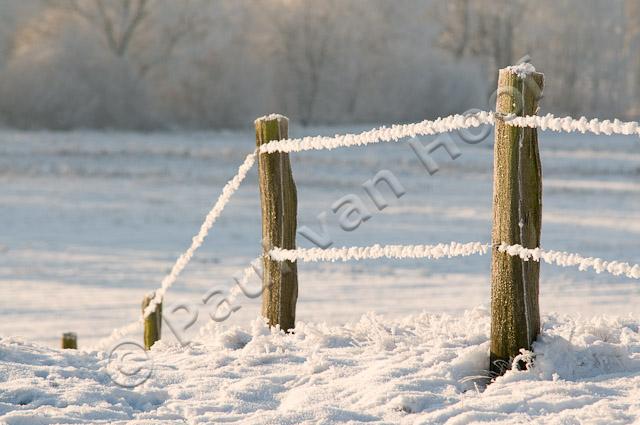 Raster met rijp PVH3-16820