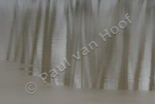 Reflectie van bomen in winter PVH2-21463