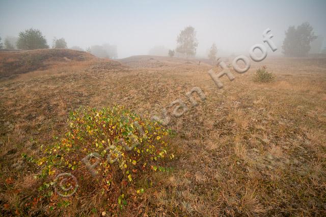 Rivierduinen in mist PVH3-27299