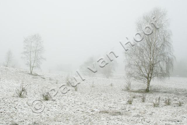 Rivierduinen in winter PVH2-8481