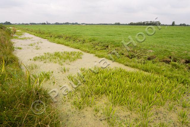 Sloot met krabbenscheer PVH2-3203