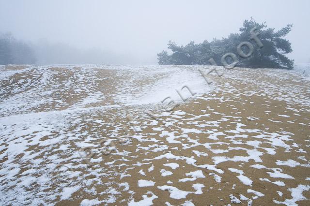 Stuifzand in winter PVH2-8443