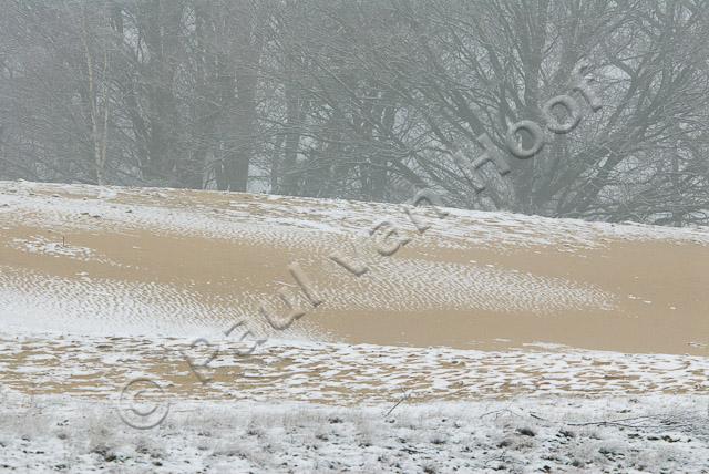 Stuifzand in winter PVH2-8463