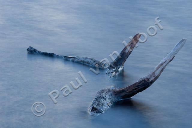Tak in water PVH70b-8170