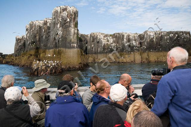 Toeristen op Farne eilanden PVH3-03321