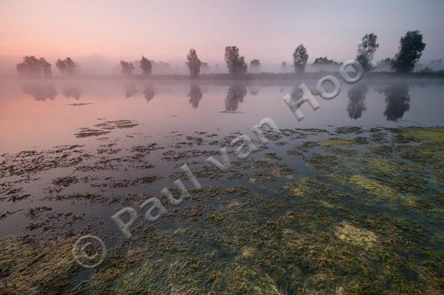 Uiterwaard bij zonsopkomst PVH3-27234