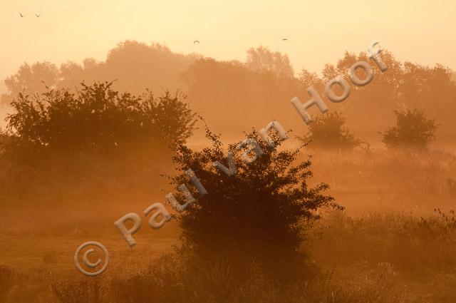 Uiterwaard bij zonsopkomst PVH3-27273