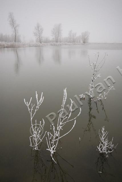 Uiterwaard in winter PVH2-21471