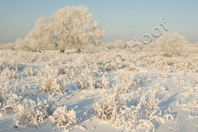 Uiterwaard in winter PVH2-21812