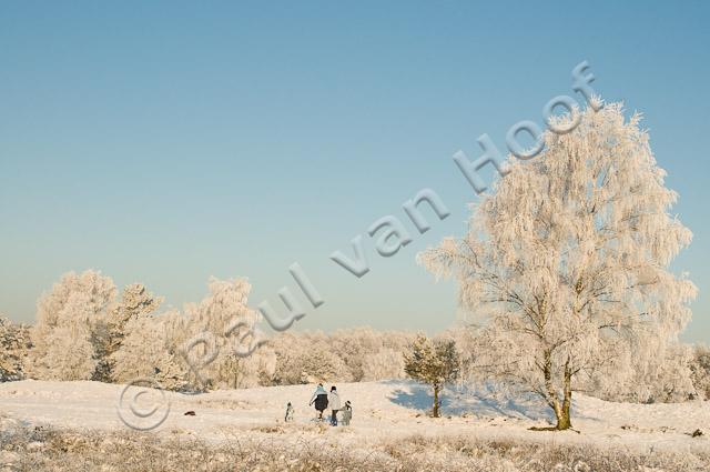 Wandelaars in winterlandschap PVH3-16810