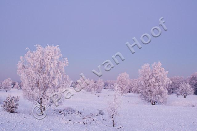 Winterlandschap PVH3-16738
