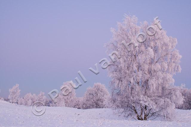 Winterlandschap PVH3-16741