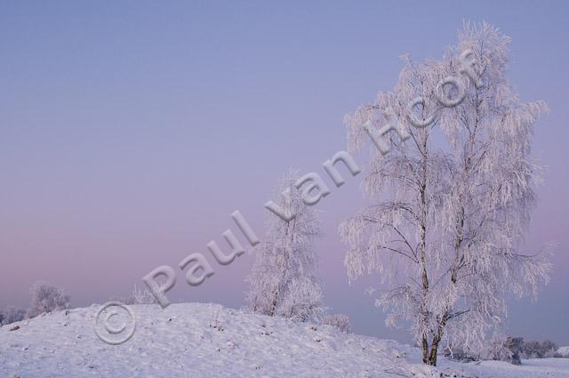 Winterlandschap PVH3-16748