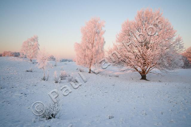 Winterlandschap PVH3-16788