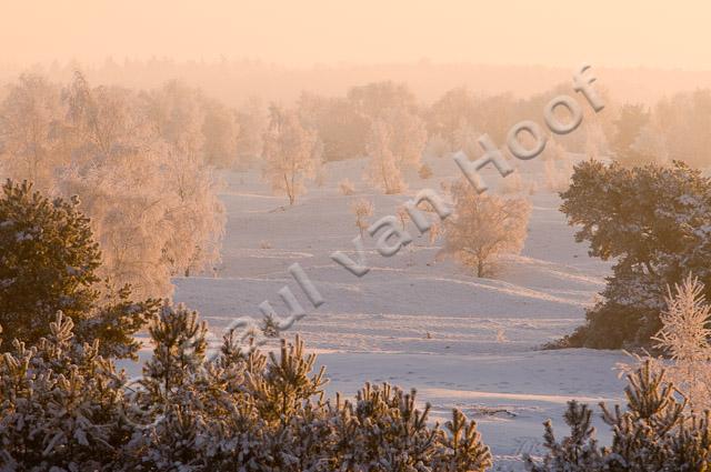 Winterlandschap PVH3-16798