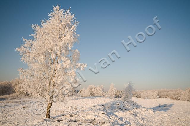Winterlandschap PVH3-16818