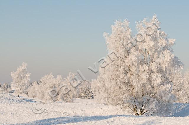 Winterlandschap PVH3-16823