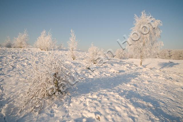Winterlandschap PVH3-16825