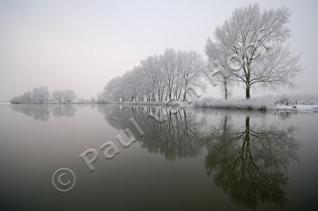 Winterse bomenrij met reflectie PVH2-21637