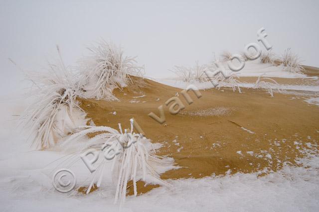 Zandduin met sneeuw PVH70a-0327