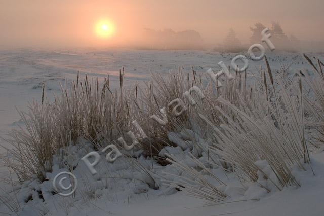 Zonsopkomst Kootwijkerzand PVH70a-0336