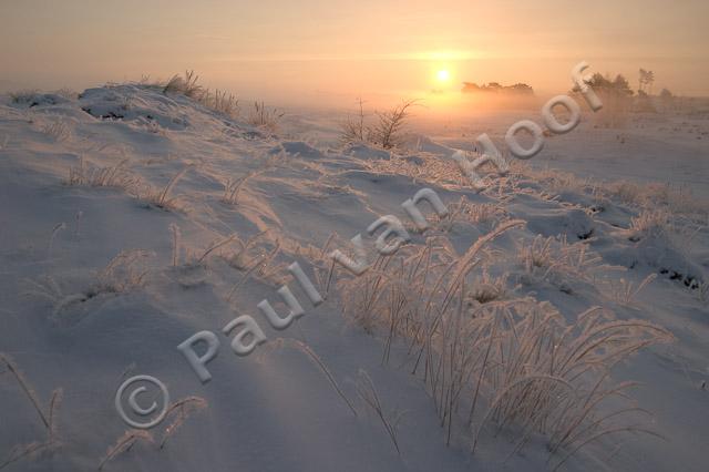 Zonsopkomst Kootwijkerzand PVH70a-0343