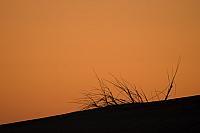 Graspol bij zonsondergang PVH70b-3839