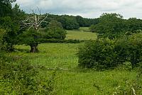 Kleinschalig landschap PVH2-1395