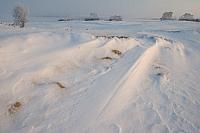 Kootwijkerzand in winter PVH70a-0352