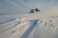 Kootwijkerzand in winter PVH70a-0363