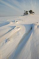 Kootwijkerzand in winter PVH70a-0364