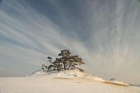 Kootwijkerzand in winter PVH70a-0373