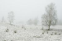 Rivierduinen in winter PVH2-8481