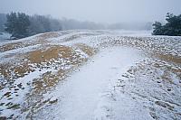 Stuifzand in winter PVH2-8445