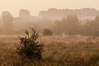 Uiterwaard bij zonsopkomst PVH3-27280