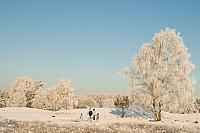 Wandelaars in winterlandschap PVH3-16810