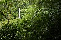 Waterval in tropisch regenwoud PVH70b-2623