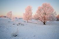 Winterlandschap PVH3-16788